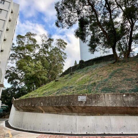 South of Postgraduate Hall 6